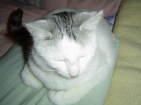 /album/fotogalerie/mucky-3-jpg/