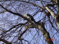 /album/fotogalerie/b2-jpg/