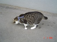 /album/fotogalerie/b8-jpg/