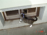 /album/fotogalerie/b10-jpg/