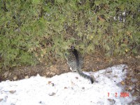 /album/fotogalerie/b12-jpg/